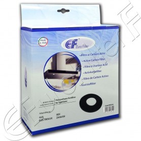 Filtro carbone attivo Euro Filter FKS010